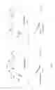 Fig. 04 - MODIFIED ADENOVIRUS HEXON PROTEIN AND USES THEREOF