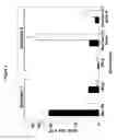 Fig. 03 - Infectious hepatitis E virus genotype 3 recombinants