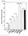 Fig. 06 - Infectious hepatitis E virus genotype 3 recombinants