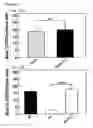 Fig. 13 - Infectious hepatitis E virus genotype 3 recombinants