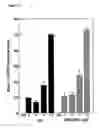 Fig. 14 - Infectious hepatitis E virus genotype 3 recombinants