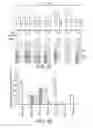 Fig. 05 - Restrictive inverted terminal repeats for viral vectors