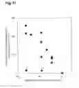 Fig. 12 - PROTEIN, METHOD FOR MANUFACTURING SAME, AND METHOD FOR EVALUATING PROTEIN ACTIVITY