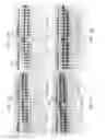 Fig. 03 - High Fidelity Restriction Endonucleases