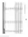 Fig. 06 - Oligonucleotide analogues targeting human LMNA