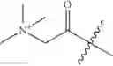Fig. 122 - Oligonucleotide analogues targeting human LMNA