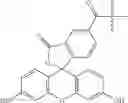 Fig. 131 - Oligonucleotide analogues targeting human LMNA