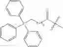 Fig. 135 - Oligonucleotide analogues targeting human LMNA