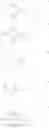 Fig. 24 - Oligonucleotide analogues targeting human LMNA