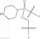 Fig. 30 - Oligonucleotide analogues targeting human LMNA