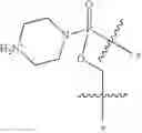 Fig. 31 - Oligonucleotide analogues targeting human LMNA