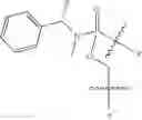 Fig. 47 - Oligonucleotide analogues targeting human LMNA