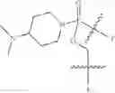 Fig. 48 - Oligonucleotide analogues targeting human LMNA