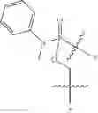 Fig. 53 - Oligonucleotide analogues targeting human LMNA