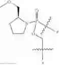 Fig. 82 - Oligonucleotide analogues targeting human LMNA