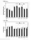 Fig. 04 - COMPOSITIONS AND METHODS FOR THE TREATMENT OF OCULAR OXIDATIVE STRESS AND RETINITIS PIGMENTOSA