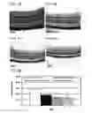 Fig. 07 - COMPOSITIONS AND METHODS FOR THE TREATMENT OF OCULAR OXIDATIVE STRESS AND RETINITIS PIGMENTOSA