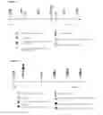 Fig. 11 - DOUBLE STRANDED RNA COMPOUNDS TO RHOA  AND USE THEREOF