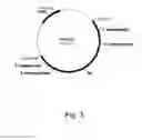 Fig. 04 - Methods for producing polypeptides in enzyme-deficient mutants of 