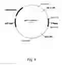 Fig. 05 - Methods for producing polypeptides in enzyme-deficient mutants of 