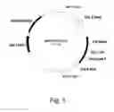 Fig. 06 - Methods for producing polypeptides in enzyme-deficient mutants of 