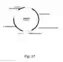 Fig. 28 - Methods for producing polypeptides in enzyme-deficient mutants of 