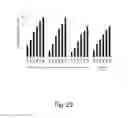 Fig. 30 - Methods for producing polypeptides in enzyme-deficient mutants of 