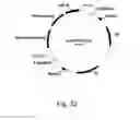 Fig. 33 - Methods for producing polypeptides in enzyme-deficient mutants of 