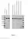 Fig. 06 - Compact scaffold of Cas9 in the type II CRISPR system