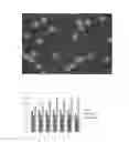 Fig. 02 - Microalgae aurantiochytrium sp. LA3 (KCTC12685BP) and method for preparing bio-oil using the same