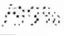 Fig. 13 - EXTRACELLULAR DITERPENE PRODUCTION