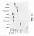 Fig. 05 - METHODS FOR MAKING TARGETED PROTEIN TOXINS BY SORTASE-MEDIATED PROTEIN LIGATION