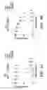 Fig. 08 - METHODS FOR MAKING TARGETED PROTEIN TOXINS BY SORTASE-MEDIATED PROTEIN LIGATION