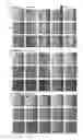 Fig. 04 - Rapid antimicrobial susceptibility test, based on an analysis of changes in morphology and growth pattern of a microbial cell under different concentrations of various antimicrobial agents, and automated cell image analysis system therefor