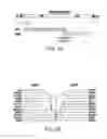 Fig. 04 - Biological indicator
