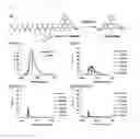 Fig. 02 - FLUORESCENT PROBE FOR DETECTING ACTIVITY OF CALPAIN