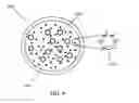 Fig. 10 - System and Method for Rapid Detection and Identification of Nucleic Acid Labeled Tags