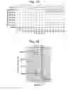 Fig. 02 - Strand-invasion based DNA amplification method
