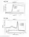 Fig. 07 - Strand-invasion based DNA amplification method