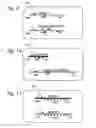 Fig. 08 - Multiplexed digital assay with specific and generic reporters