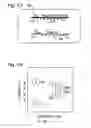 Fig. 11 - Multiplexed digital assay with specific and generic reporters