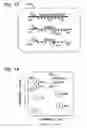 Fig. 13 - Multiplexed digital assay with specific and generic reporters