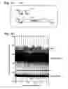 Fig. 15 - Multiplexed digital assay with specific and generic reporters