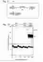 Fig. 16 - Multiplexed digital assay with specific and generic reporters