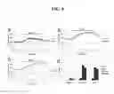 Fig. 05 - Allelic disorders caused by mutations in TRPV4