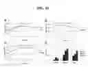 Fig. 11 - Allelic disorders caused by mutations in TRPV4