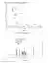 Fig. 04 - Ruthenium (II) complexes, preparation and uses thereof
