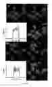 Fig. 11 - Ruthenium (II) complexes, preparation and uses thereof