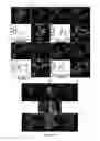 Fig. 12 - Ruthenium (II) complexes, preparation and uses thereof