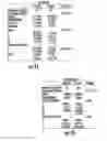 Fig. 13 - ASSAYS,  METHODS AND KITS FOR ANALYZING SENSITIVITY AND RESISTANCE TO ANTI-CANCER DRUGS, PREDICTING A CANCER PATIENT'S PROGNOSIS, AND PERSONALIZED TREATMENT STRATEGIES